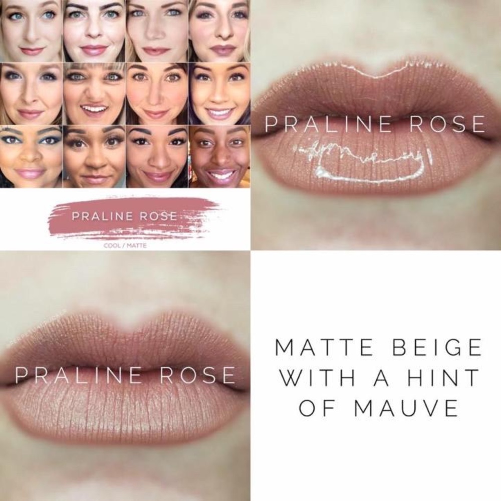 Lipsense Praline Rose Gift Lipcolor Gloss Remover